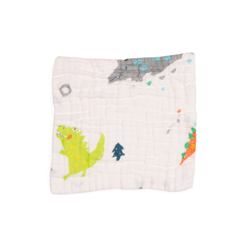 Adventure Land Wash Cloth (Pack of 3)
