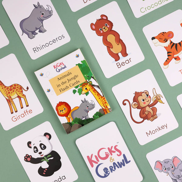 Animals in the Jungle Flashcards