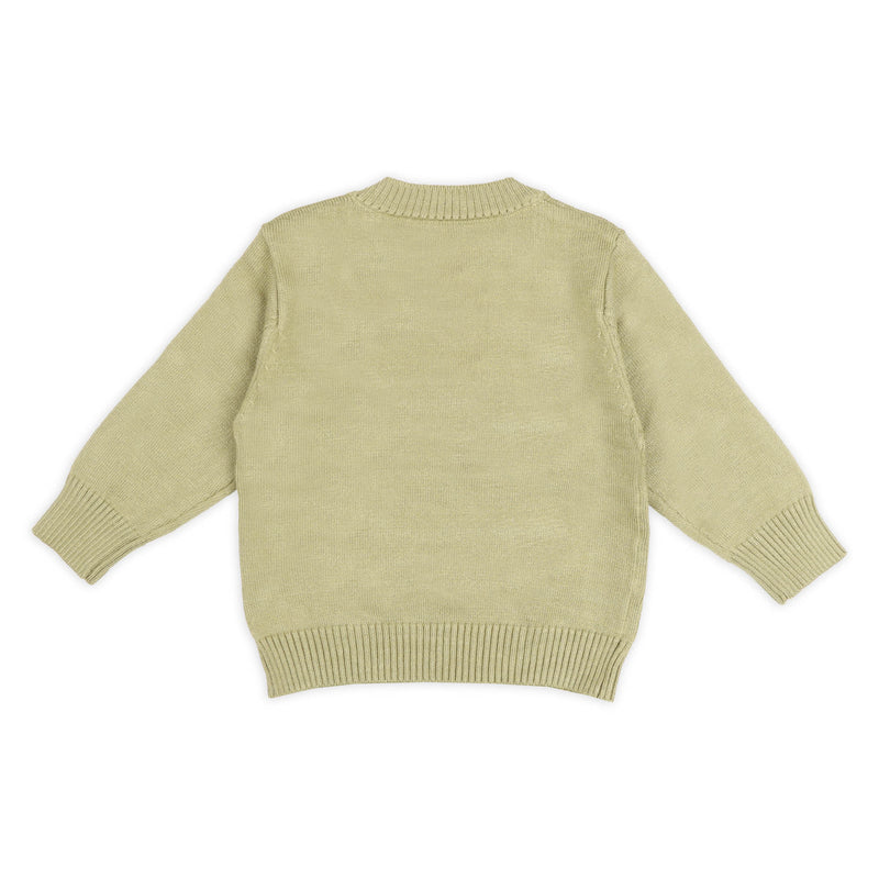 Green Baby Elephant Sweater