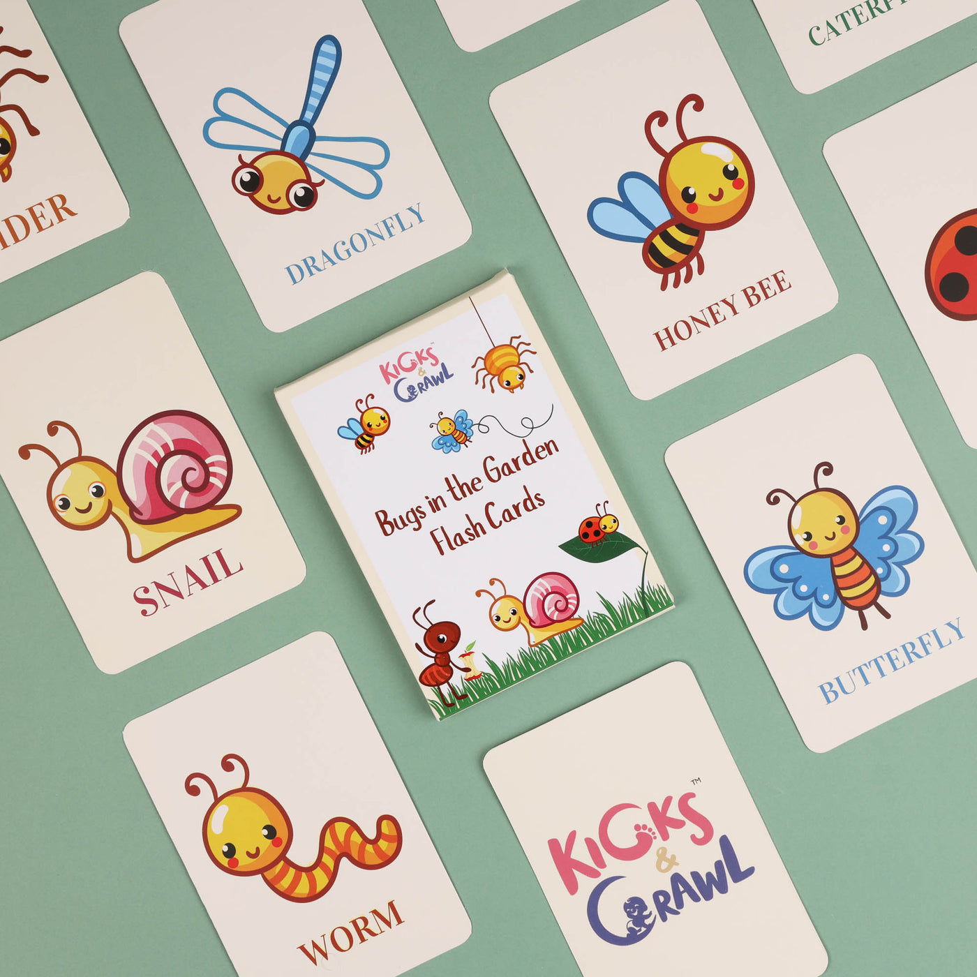 Bugs Garden Flashcards