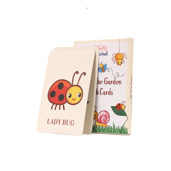 Bugs Garden Flashcards