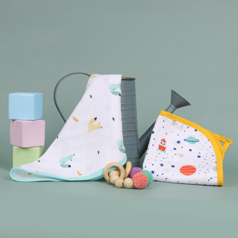 Baby Explorer Reversible Organic Wash Cloth - 2 pack