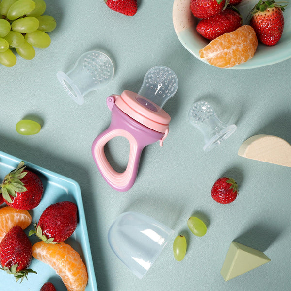 Pink & Purple Fruit Feeder & Nibbler